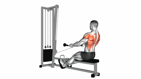 Seated Cable Row